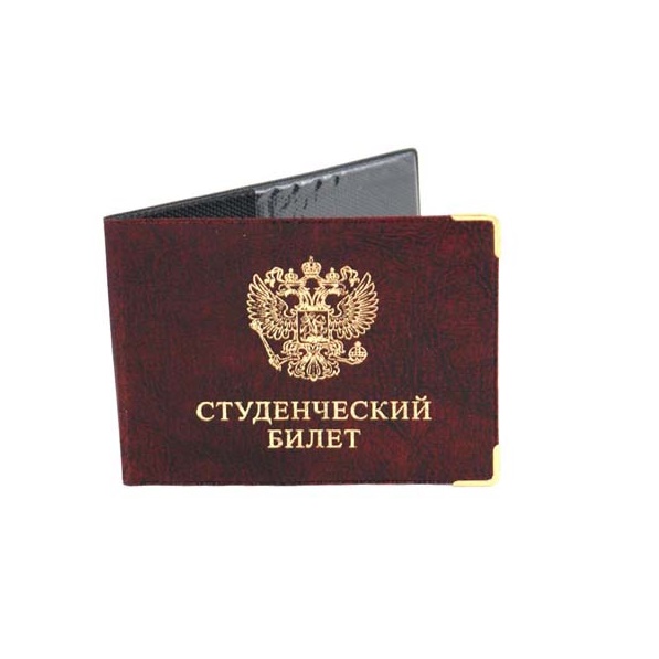 2e9d4da12f1f11ed967d503eaa058c7d_5bae18f12f3411eda396b42e99b9ab10 ОБЛОЖКА ДЛЯ СТУДЕНЧЕСКОГО БИЛЕТА, ГЛЯНЦ.ПВХ