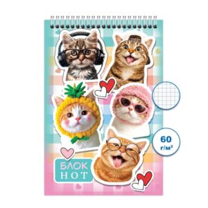 БЛОКНОТ А6 КОЛИБРИ 48л., НА ГРЕБНЕ #Котомемы