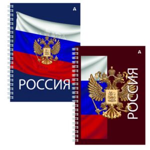 ТЕТРАДЬ НА ГРЕБНЕ А4 96л.ALINGAR КЛЕТКА #Россия